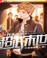 光頭虎的超武末世