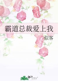 霸道總裁愛上我