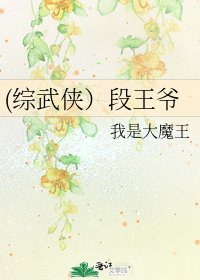 (综武侠）段王爷